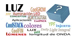 Conceptos básicos