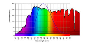 Luz solar y efectividad en plantas