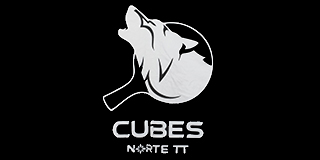cubes norte tt LOGO